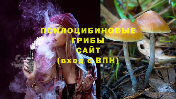 соль курить ск Алзамай