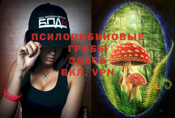 стаф Алексеевка